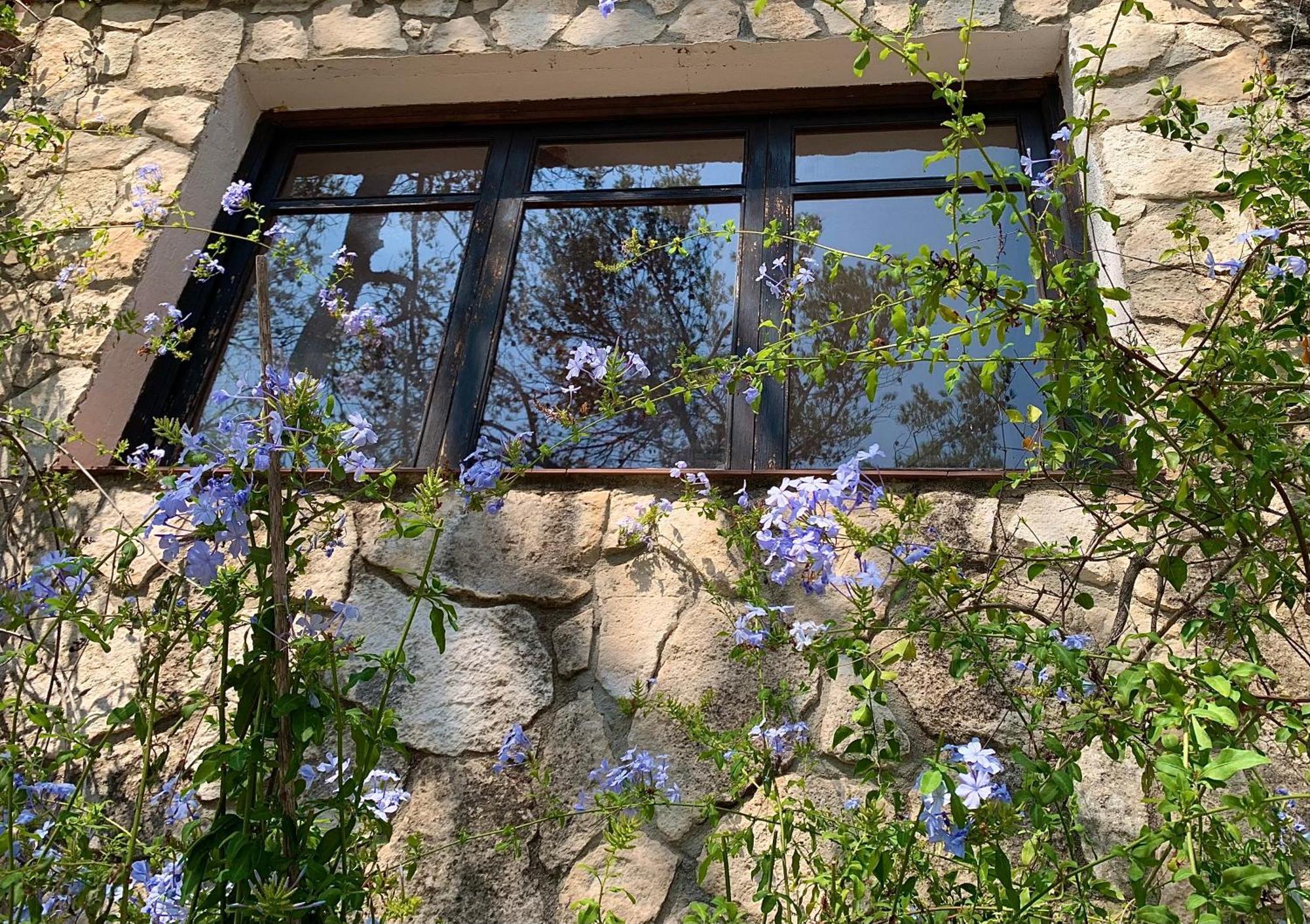 La Casita Del Bosque Apartamento Sant Pere De Ribes Exterior foto